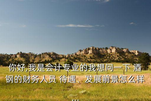 你好,我是會計專業(yè)的我想問一下 酒鋼的財務(wù)人員 待遇、發(fā)展前景怎么樣...