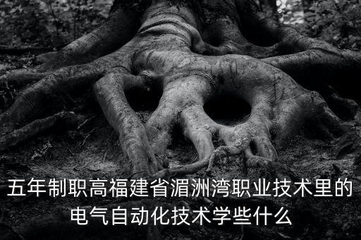 電氣自動化專業(yè)高職學什么,電氣自動化技術專業(yè)主要學什么?