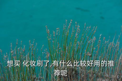 想買 化妝刷了,有什么比較好用的推薦呢
