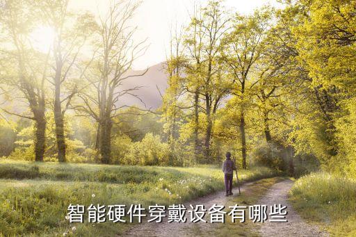 智能硬件穿戴設(shè)備有哪些