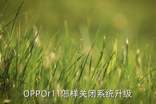 r11關(guān) 自動(dòng)更新,手機(jī)沒有更新提示如何刷機(jī)升級(jí)?