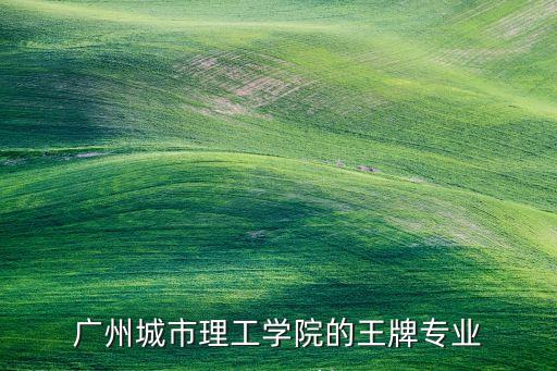 廣州城市理工學(xué)院的王牌專業(yè)