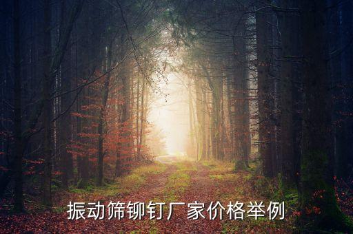 振動篩鉚釘廠家價格舉例