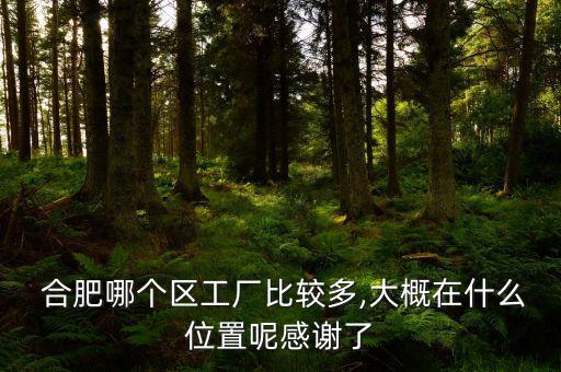  合肥哪個(gè)區(qū)工廠比較多,大概在什么位置呢感謝了