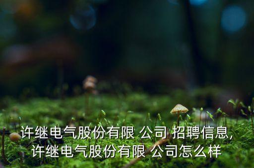 許繼電氣股份有限 公司 招聘信息,許繼電氣股份有限 公司怎么樣