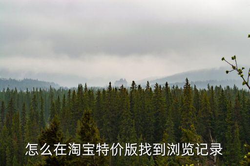 怎么在淘寶特價版找到瀏覽記錄