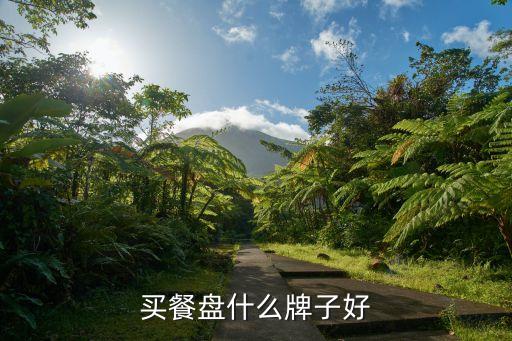 餐碟自動化設(shè)備有哪些品牌,中國十大碗碟餐具品牌