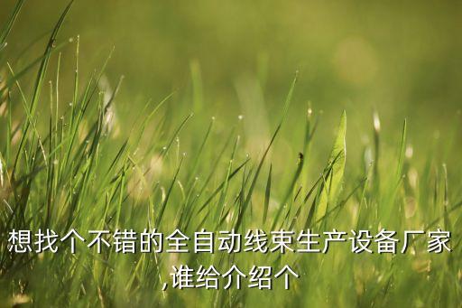 自動化陣列設(shè)備廠家,線束自動化生產(chǎn)設(shè)備哪些廠家比較靠譜?