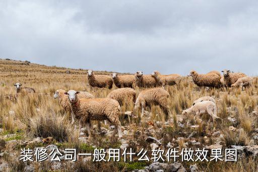 裝修公司一般用什么軟件做效果圖
