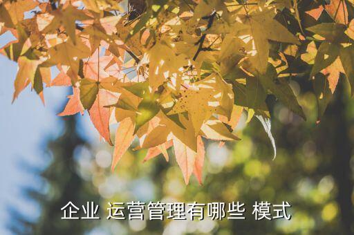 小自動(dòng)化公司的運(yùn)營模式