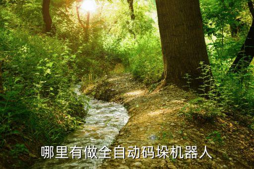 哪里有做全自動(dòng)碼垛機(jī)器人