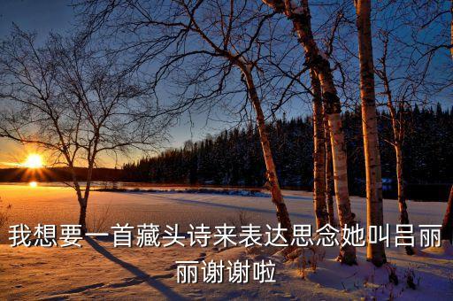 呂麗麗，用 我愛呂麗麗 幫我設計個網(wǎng)名