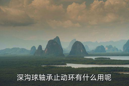 深溝球軸承止動環(huán)有什么用呢
