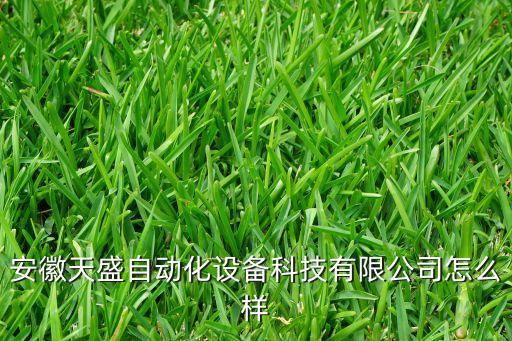安徽天盛自動化設備科技有限公司怎么樣