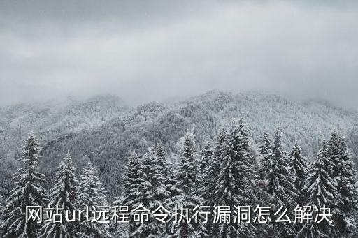 網(wǎng)站url遠程命令執(zhí)行漏洞怎么解決