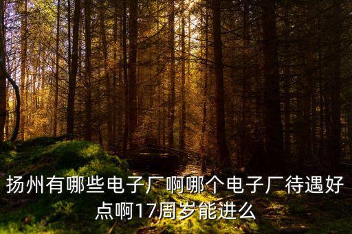 揚(yáng)州有哪些電子廠啊哪個(gè)電子廠待遇好點(diǎn)啊17周歲能進(jìn)么