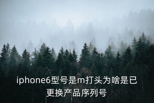 iphone6型號是m打頭為啥是已更換產(chǎn)品序列號