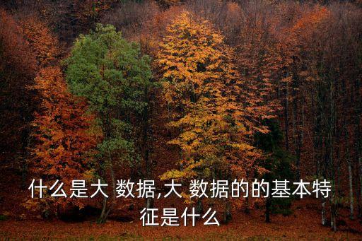 什么是大 數(shù)據(jù),大 數(shù)據(jù)的的基本特征是什么