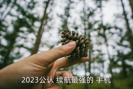 2023公認 續(xù)航最強的 手機