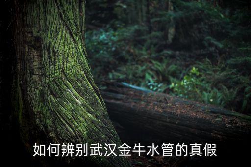 如何辨別武漢金牛水管的真假