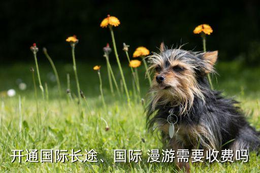 越南數(shù)據(jù)漫游資費聯(lián)通,聯(lián)通印度尼西亞漫游資費