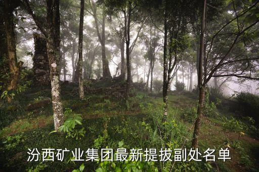 張秋明，汾西礦業(yè)集團(tuán)最新提拔副處名單