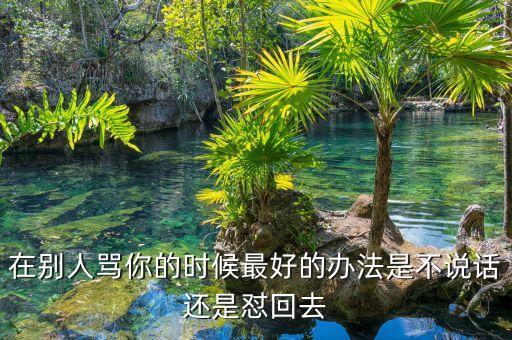 在別人罵你的時候最好的辦法是不說話還是懟回去