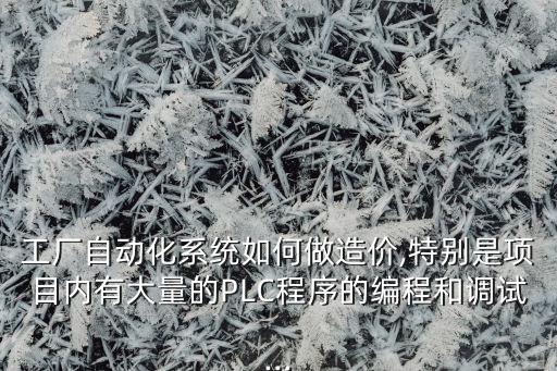 工廠自動化系統(tǒng)如何做造價,特別是項目內(nèi)有大量的PLC程序的編程和調(diào)試...