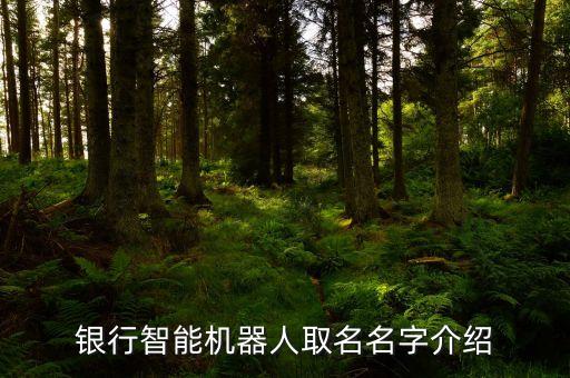銀行智能機(jī)器人取名名字介紹