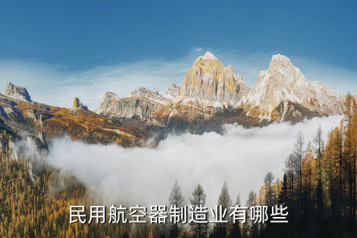 民用航空器制造業(yè)有哪些