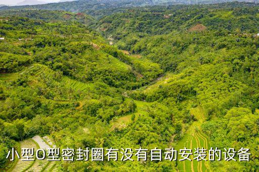 小型O型密封圈有沒有自動安裝的設(shè)備