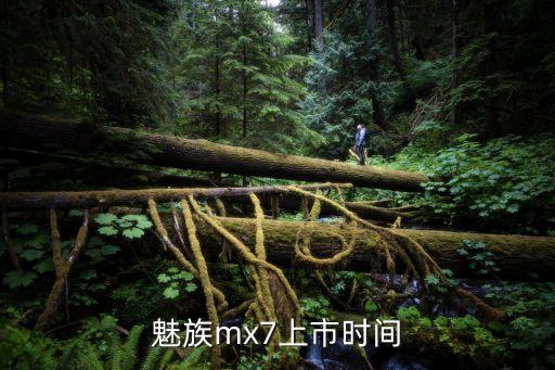 魅族mx7上市時(shí)間