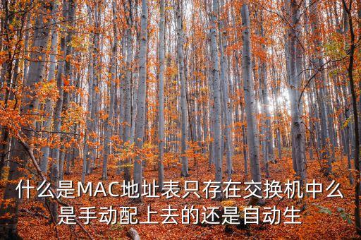 什么是MAC地址表只存在交換機(jī)中么是手動(dòng)配上去的還是自動(dòng)生