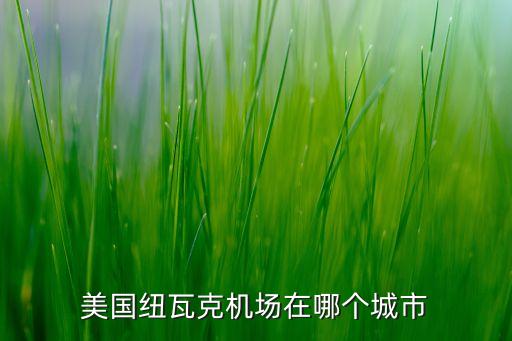 美國紐瓦克機(jī)場(chǎng)在哪個(gè)城市