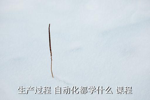 生產(chǎn)過(guò)程 自動(dòng)化都學(xué)什么 課程