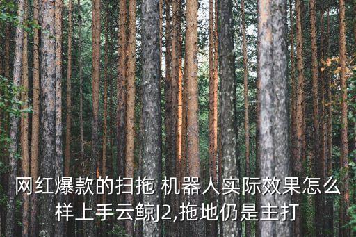 網(wǎng)紅爆款的掃拖 機器人實際效果怎么樣上手云鯨J2,拖地仍是主打