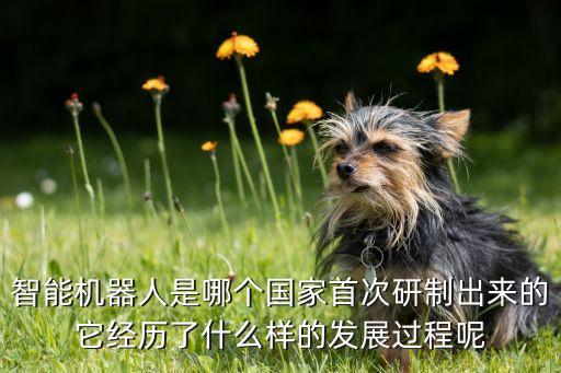 中國載人機器人第一人,中國機器人的發(fā)展歷程