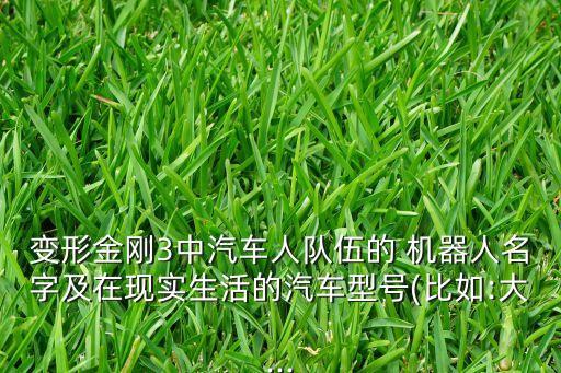 變形金剛3中汽車人隊伍的 機(jī)器人名字及在現(xiàn)實生活的汽車型號(比如:大...