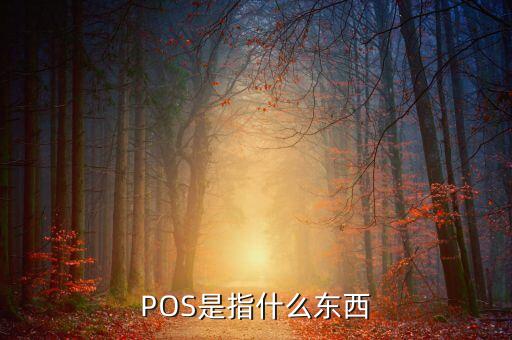POS是指什么東西