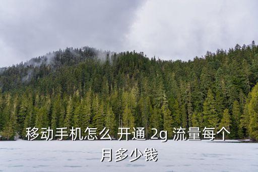 移動(dòng)手機(jī)怎么 開通 2g 流量每個(gè)月多少錢