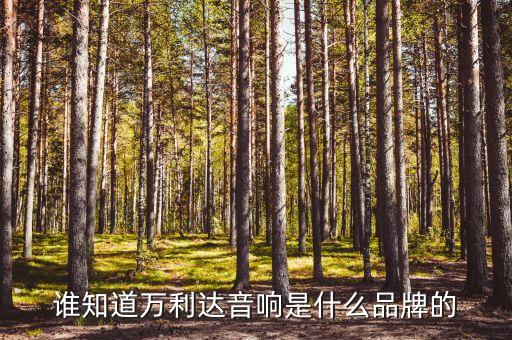 誰知道萬利達(dá)音響是什么品牌的