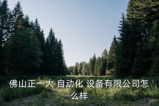 佛山正一大 自動(dòng)化 設(shè)備有限公司怎么樣