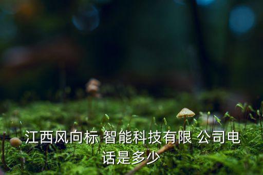  江西風(fēng)向標 智能科技有限 公司電話是多少