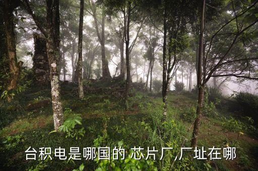  臺積電是哪國的 芯片廠,廠址在哪