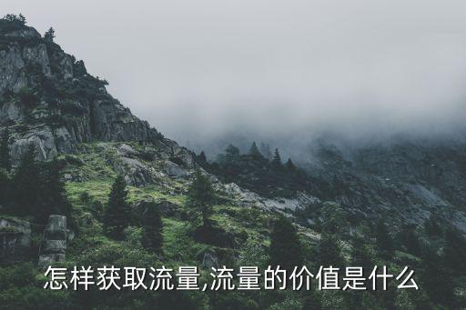 怎樣獲取流量,流量的價(jià)值是什么