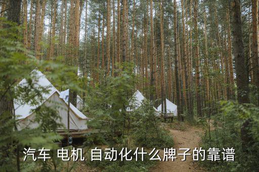 汽車 電機(jī) 自動(dòng)化什么牌子的靠譜