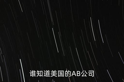 誰知道美國的AB公司