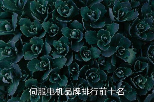 伺服電機(jī)品牌排行前十名
