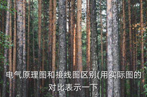 電氣原理圖和接線圖區(qū)別(用實際圖的對比表示一下