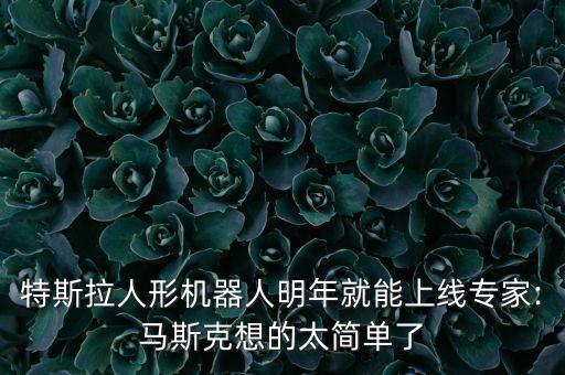 特斯拉人形機器人明年就能上線專家:馬斯克想的太簡單了